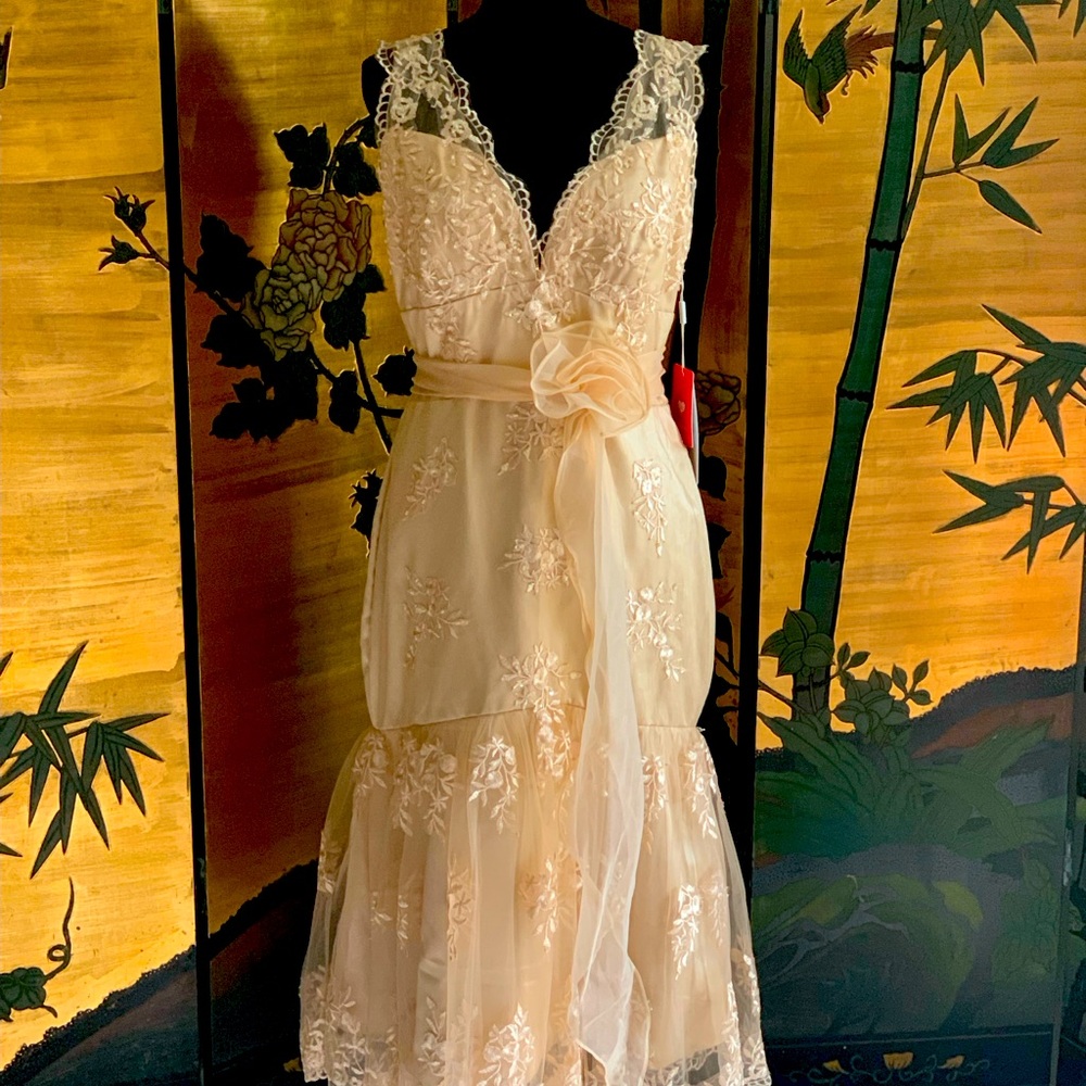Special occasion dress for prom, wedding, party, etc.
